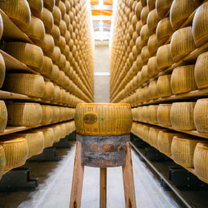 Parmigiano Reggiano DOP Cheese
