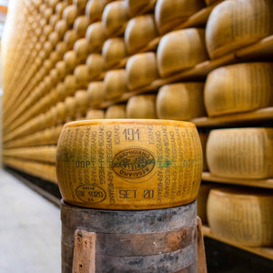 opening a wheel of parmesan cheese (parmigiano reggiano) 