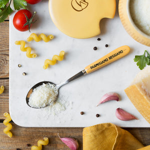 Ceramic and Stainless steel Cheese Spoon